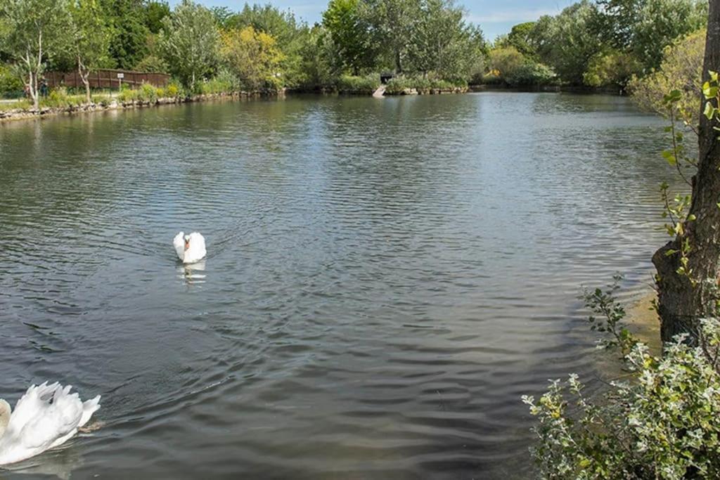 Apartament La Provencale Saint-Saturnin-lès-Avignon Zewnętrze zdjęcie